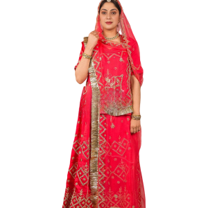 Pastel Red Zardozi Work Rajputi Poshak | Dori & Sequins Work on Bamber Satin | Jaipurio Designer Collection